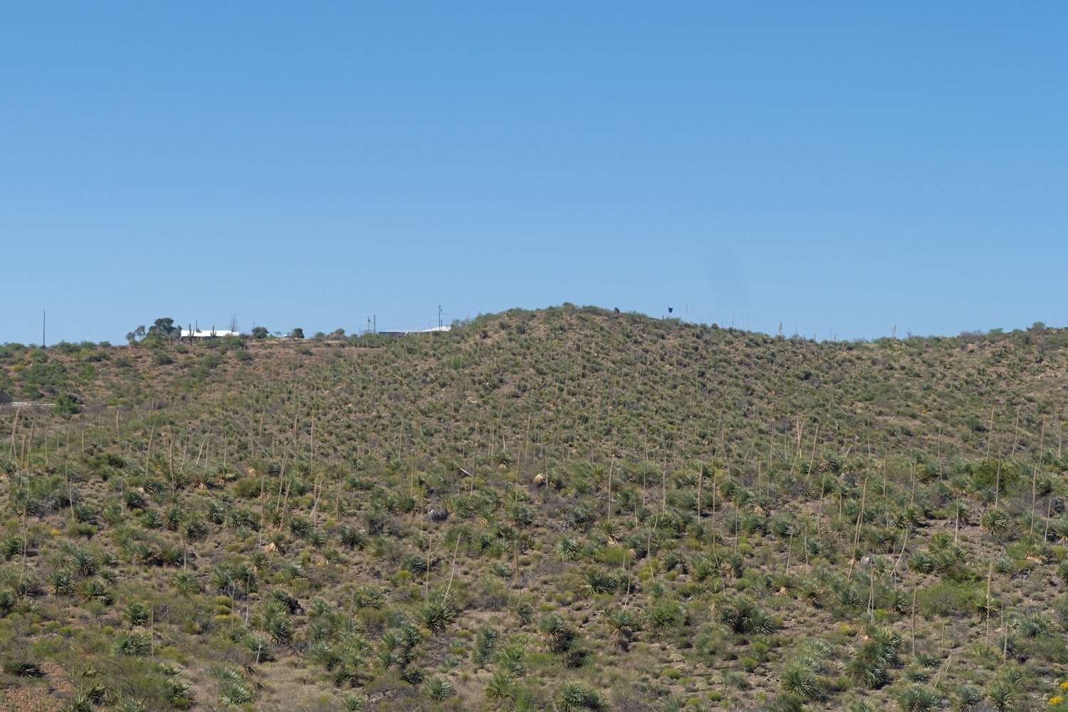 Travelodge by Wyndham Globe AZ 33/39