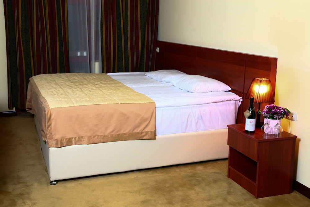 Ani Central Inn Ex Silachi 28/66