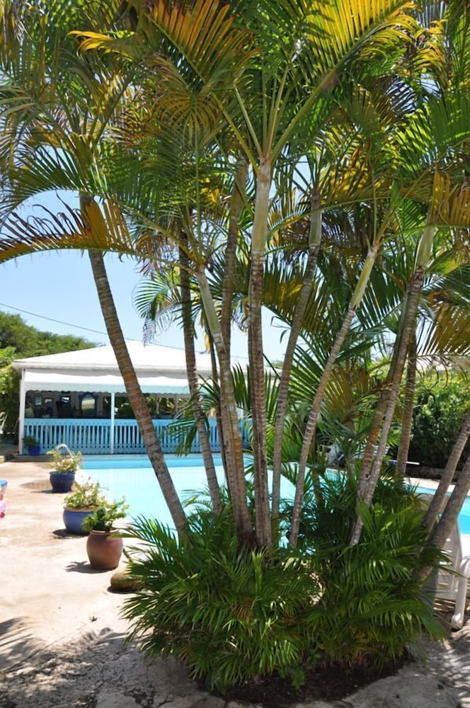 Cap Sud Caraïbes Hôtel 11/51