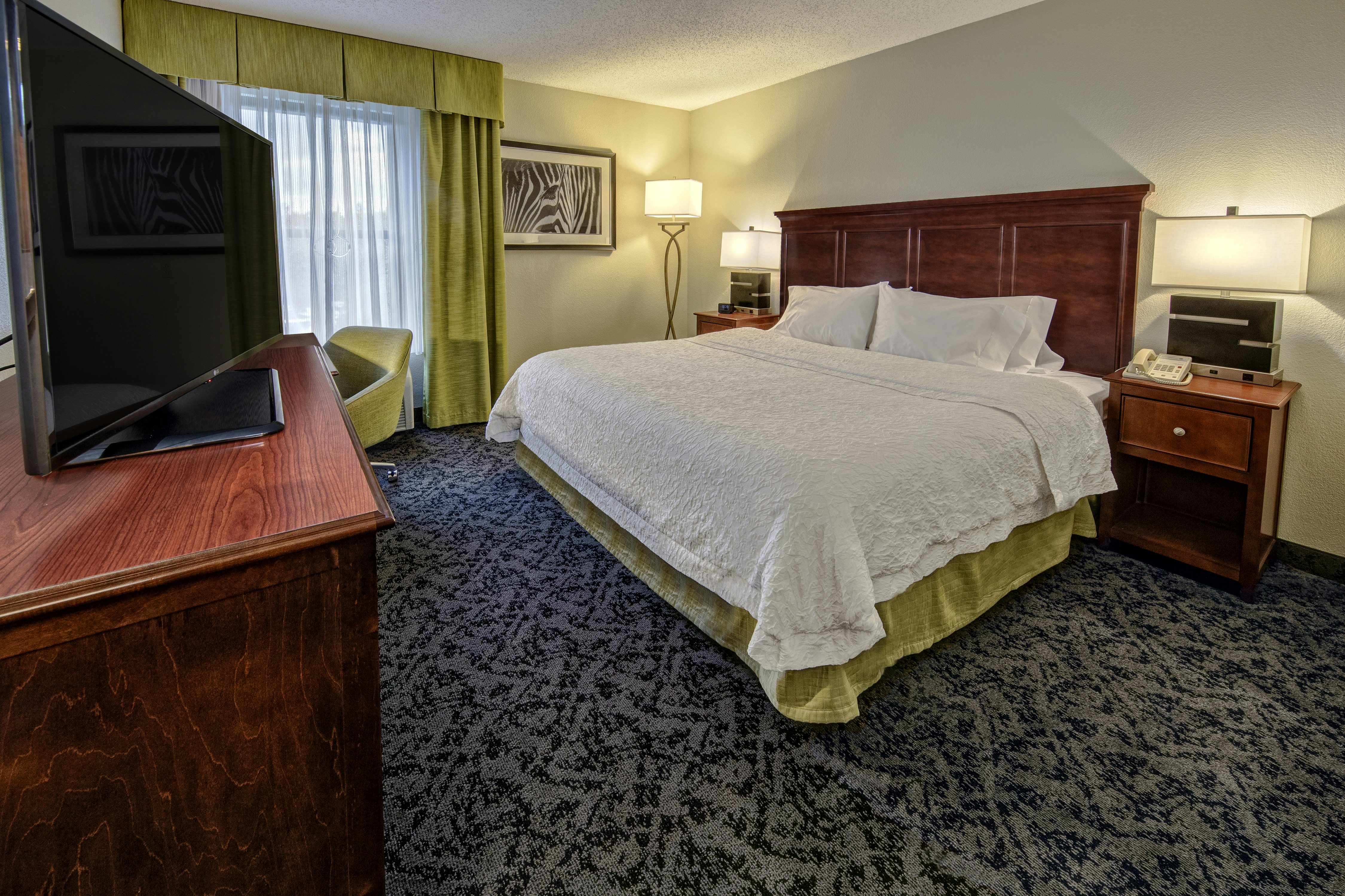 غرفة بسرير كينج لذوي الإعاقة، Hampton Inn By Hilton Charlotte Matthews 2/4