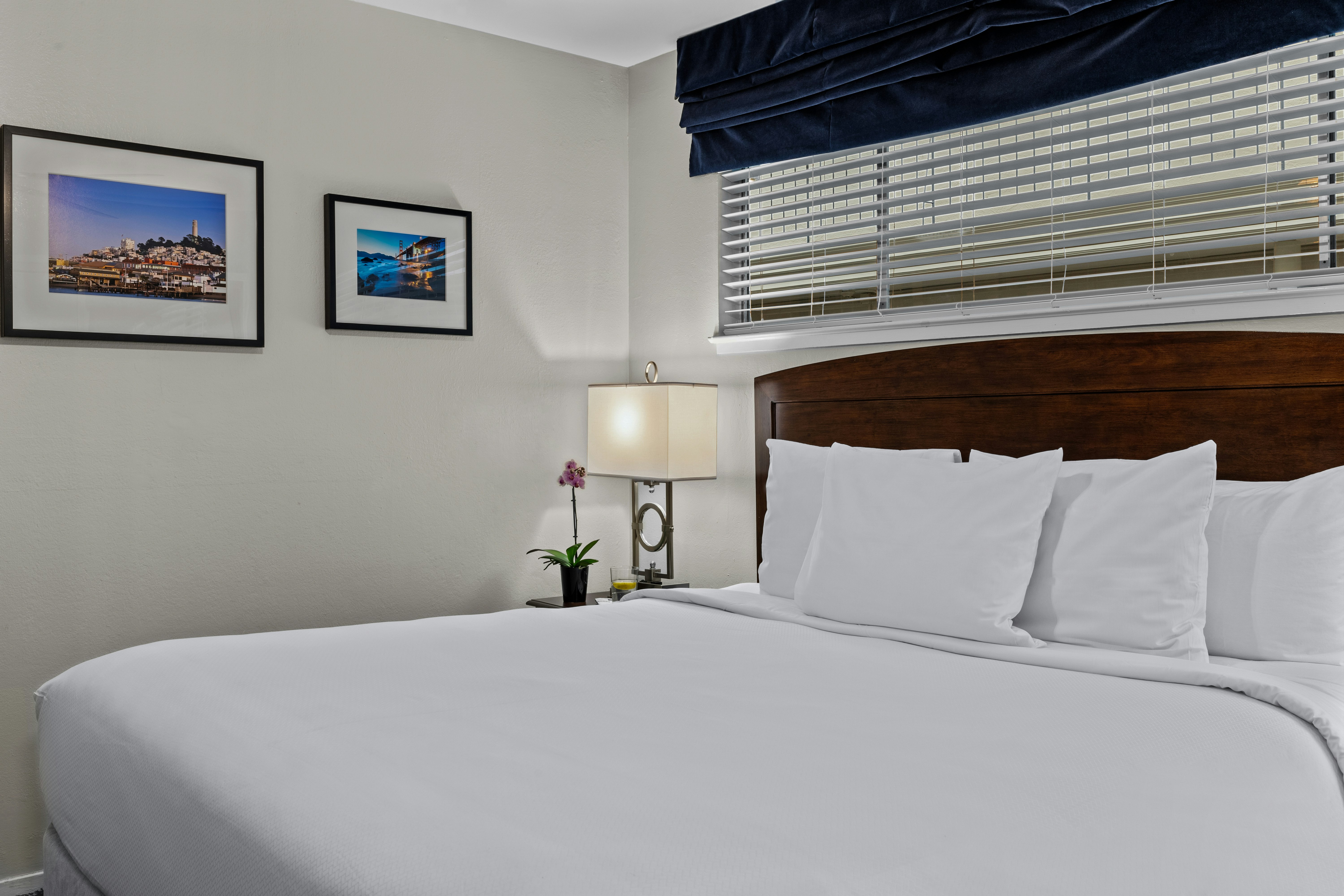 1 BEDROOM, SUITE