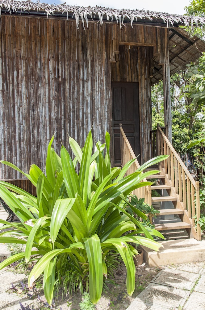 Palm Village Resort Spa 40/50