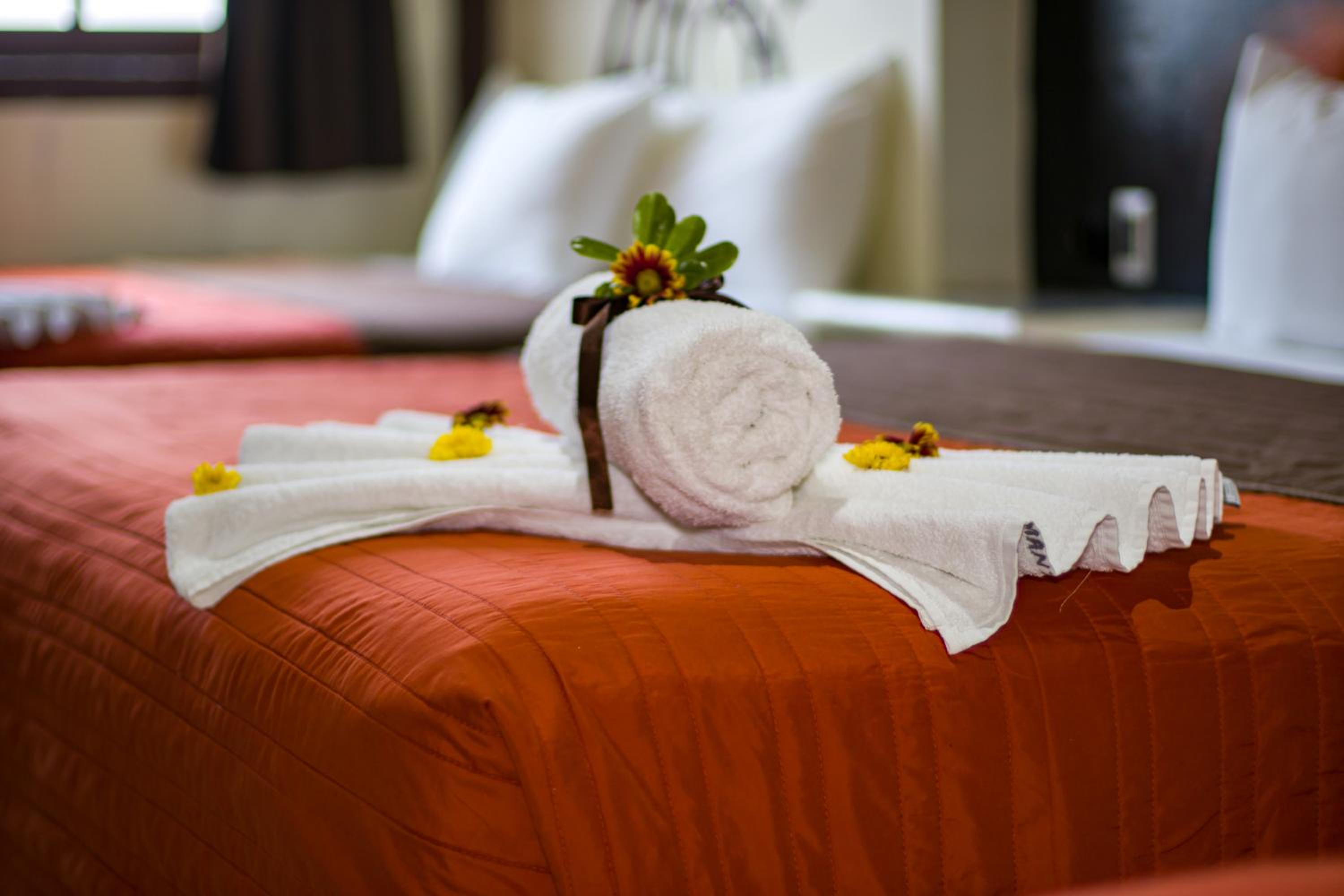 Hotel Diamante 27/50