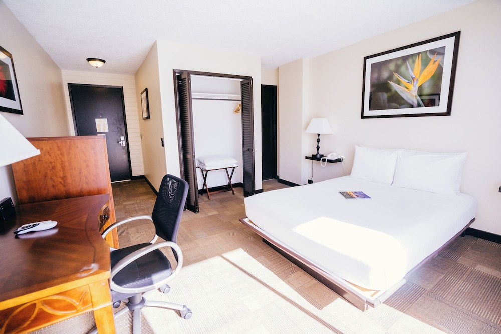 PETITE, QUEEN BED
