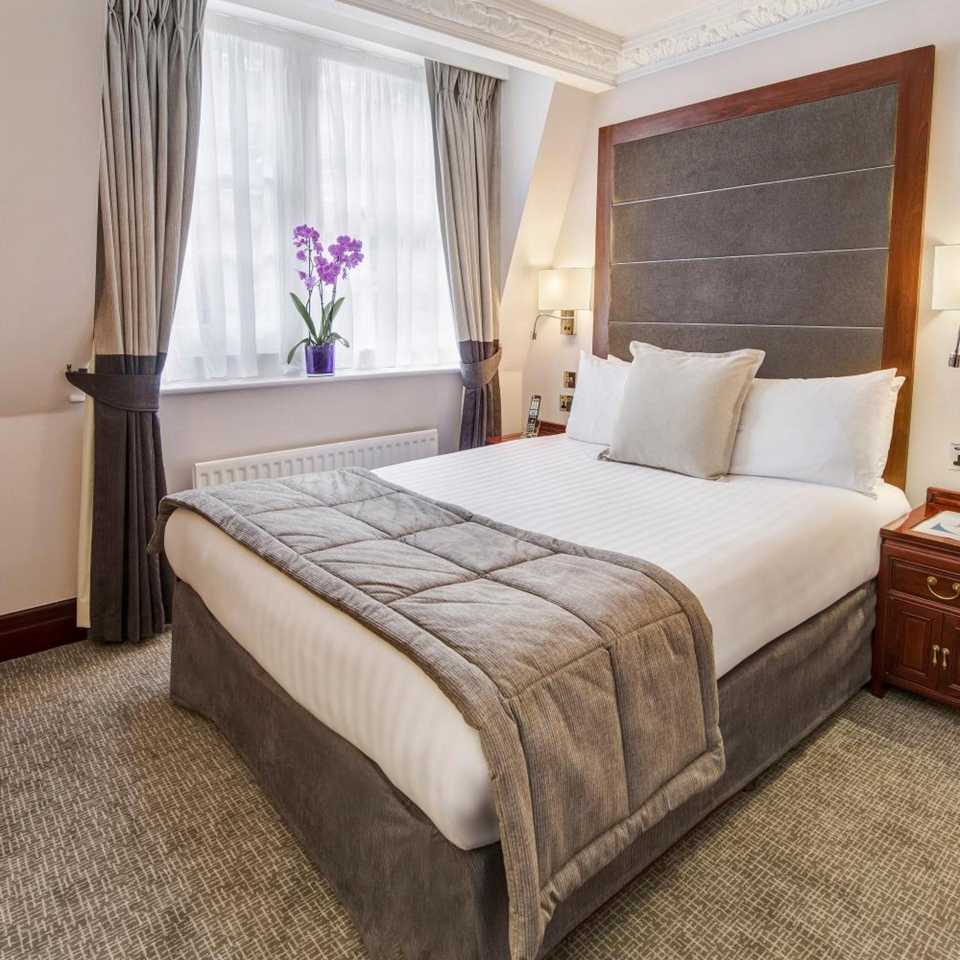 غرفة تنفيذية، Gem Fitzrovia Hotel 3/10