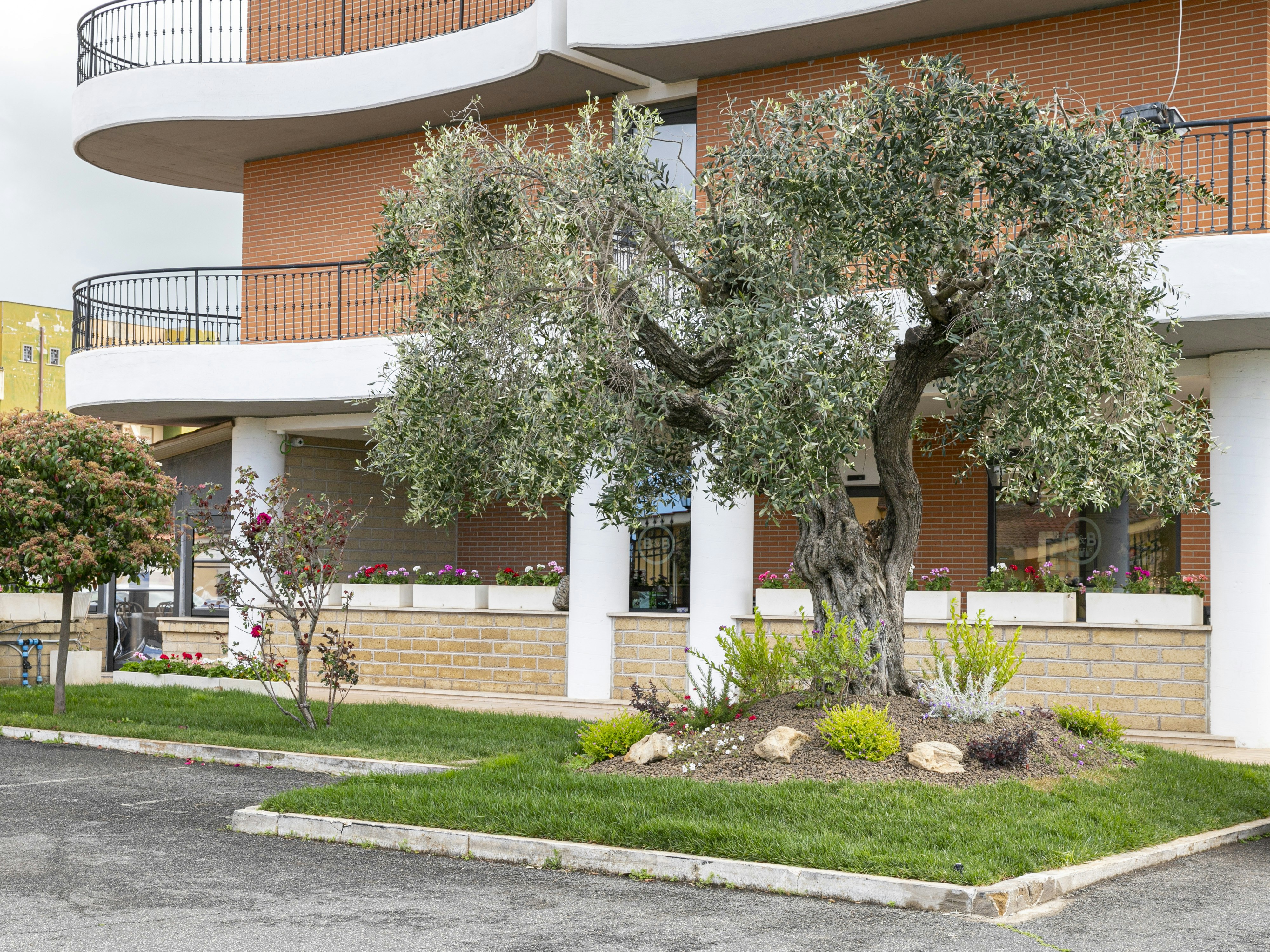 B&B HOTEL Pomezia Cortese 5/37