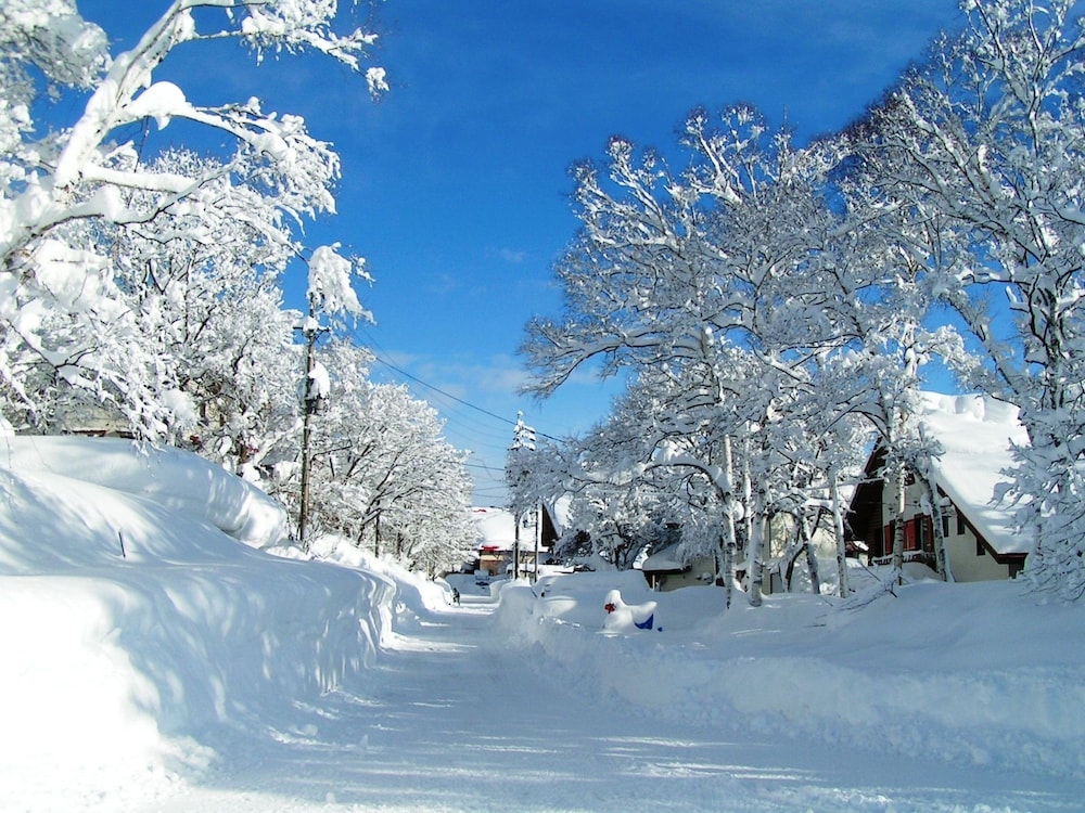 Madarao Elm Pension 50/50