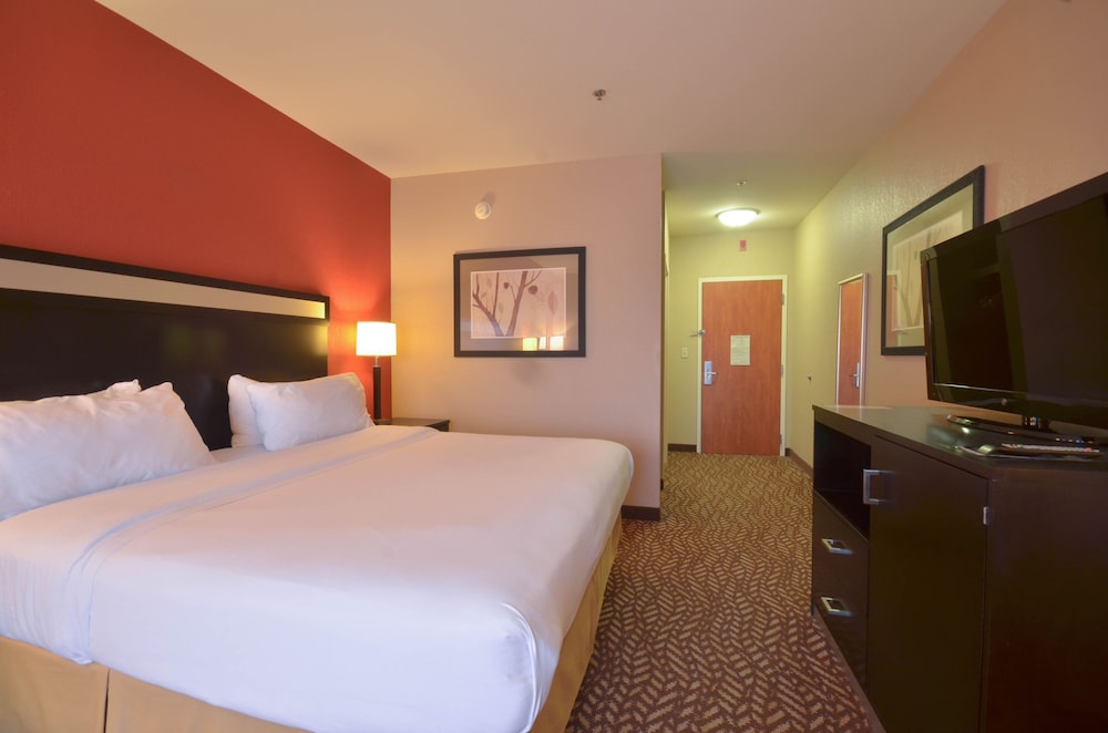 Holiday Inn Express Hotel And Suites Pine Bluff Pines Mall 19/54