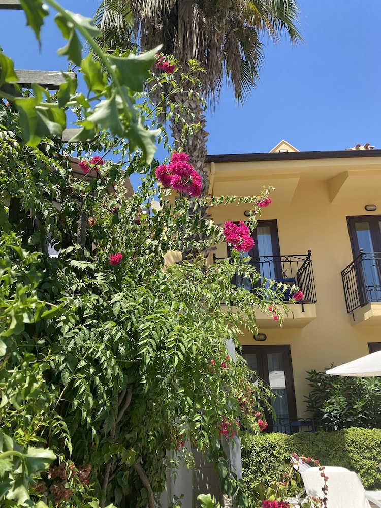 Villa Danlin Hotel 39/44