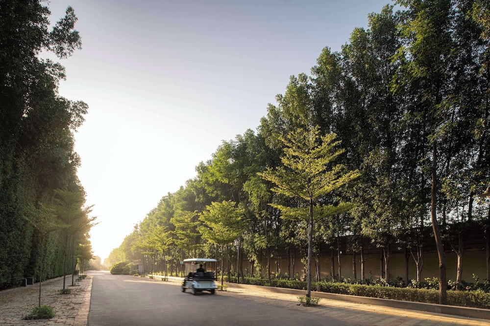 Radisson Resort & Spa Kandla 82/89