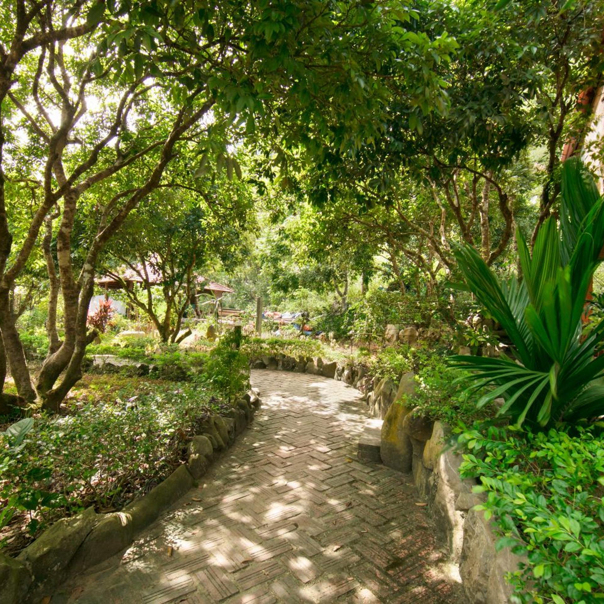 Long Phuong Homestay 49/55