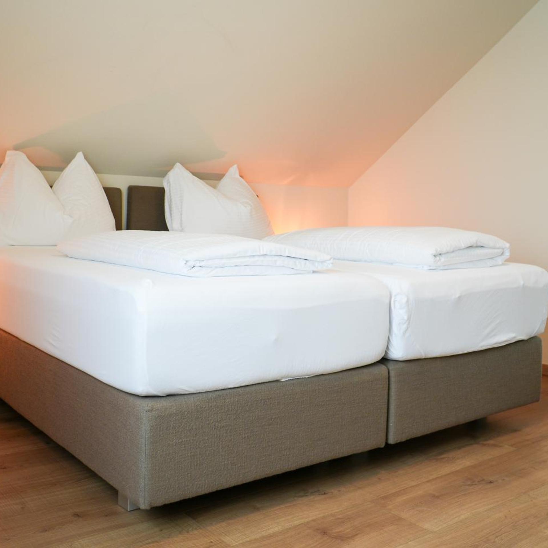 feRUS Hotel 4/36