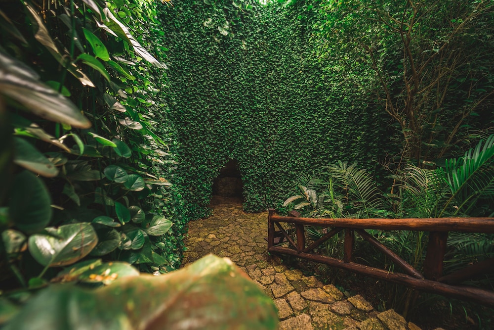 Destino Mio Mayan Jungle Retreat 38/56