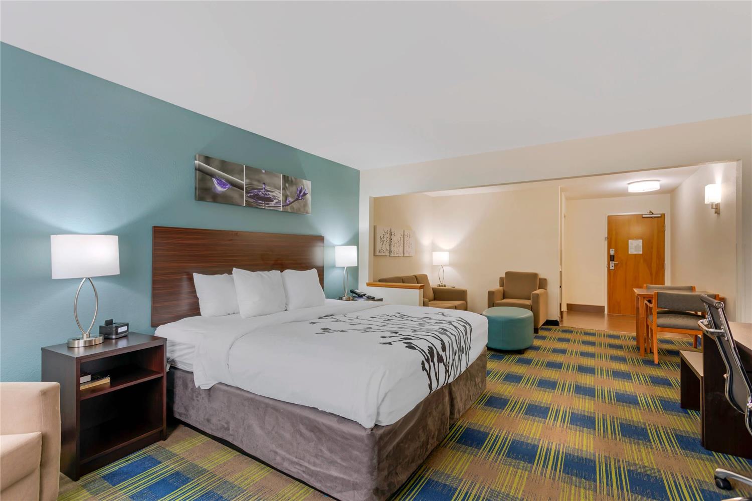 جناح بسرير كينج، Sleep Inn & Suites Smyrna - Nashville Area 2/3