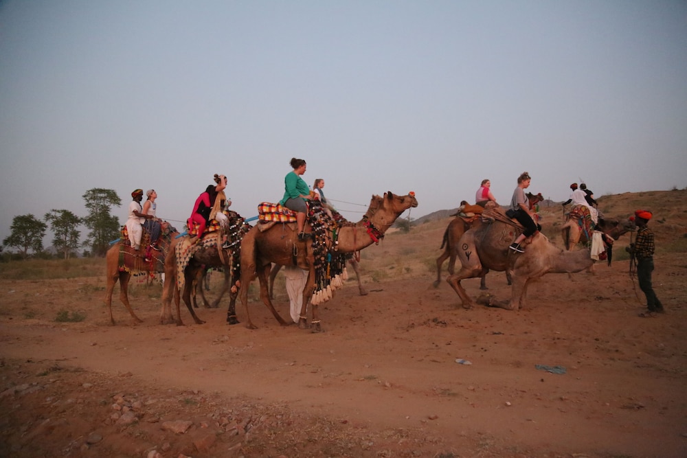 Pushkar Adventure Desert Camp 16/28
