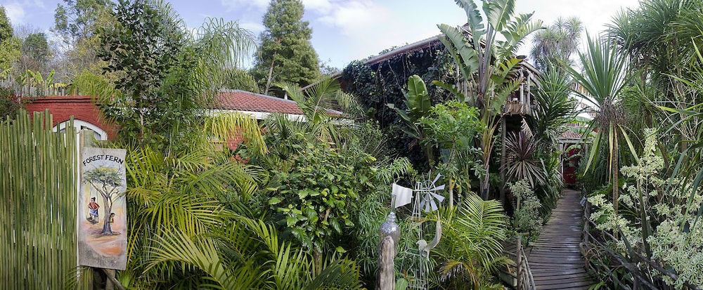 Bamboo the Guest House 40/43
