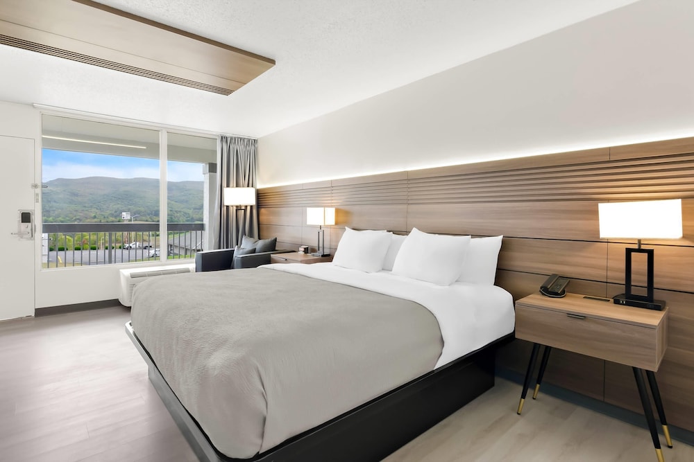 Standard, King Bed