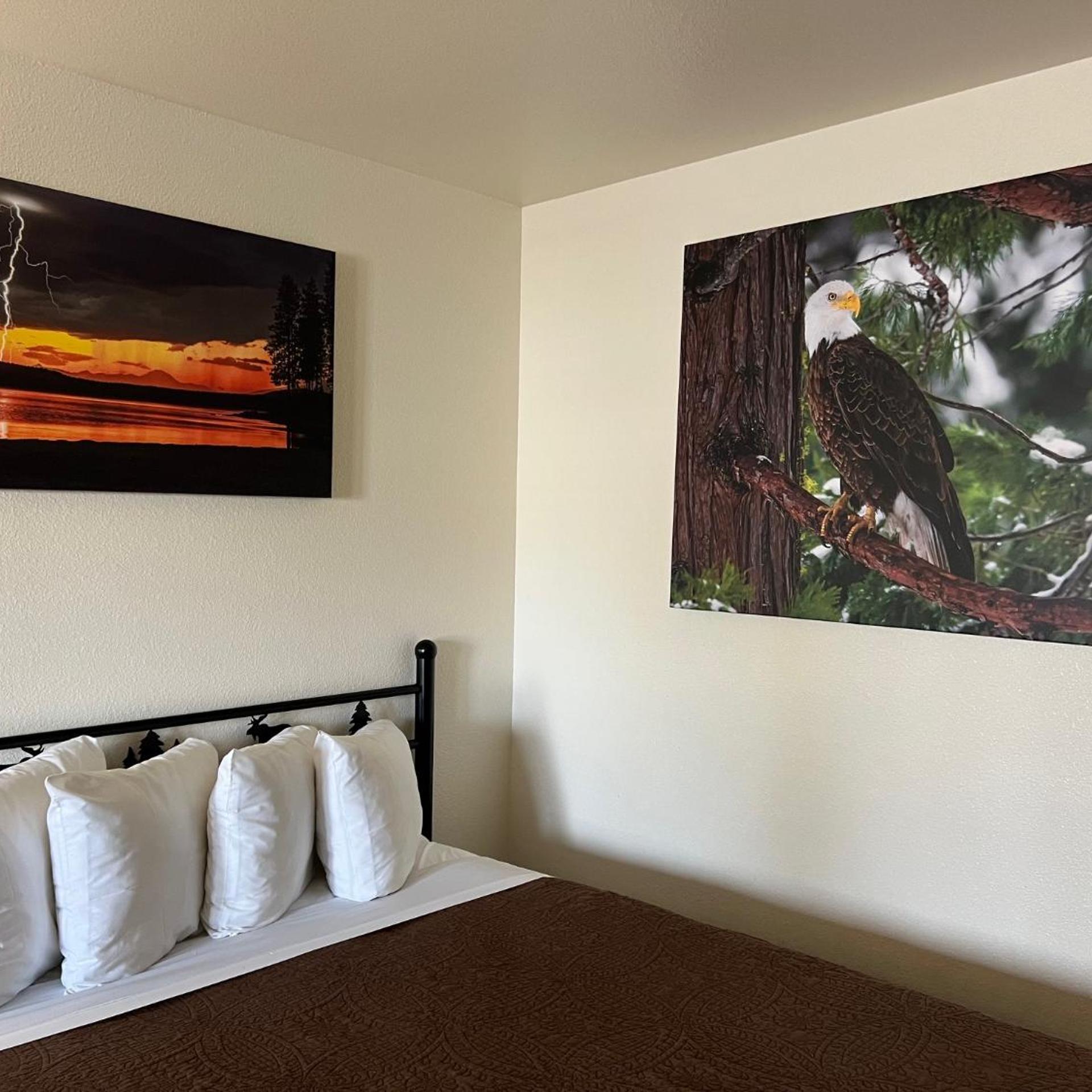 Antlers Inn 16/50