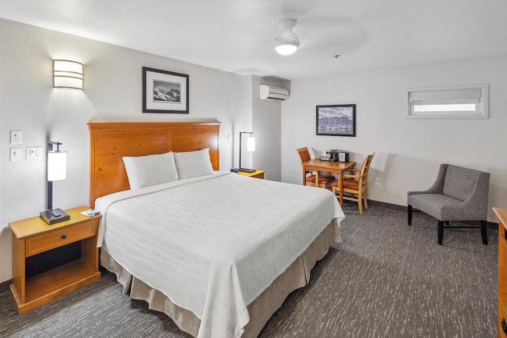 Room, King Bed, No Window, Accessible