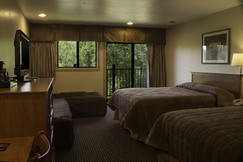 Rabbit Ears Motel 33/49