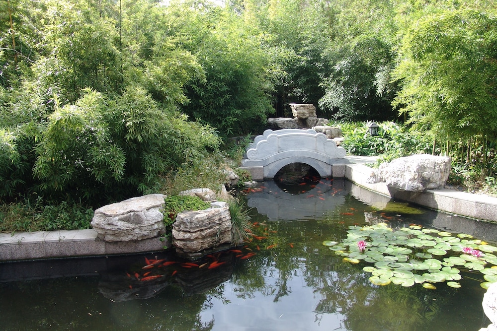Beijing Asia Hotel 23/50