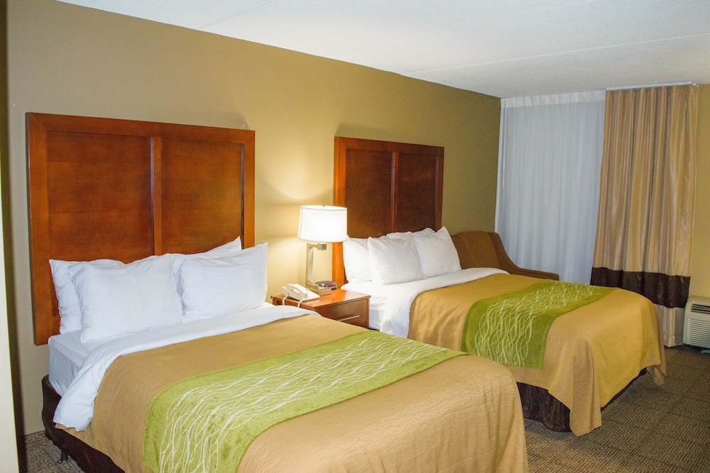 Comfort Inn Cranberry Twp. 16/45