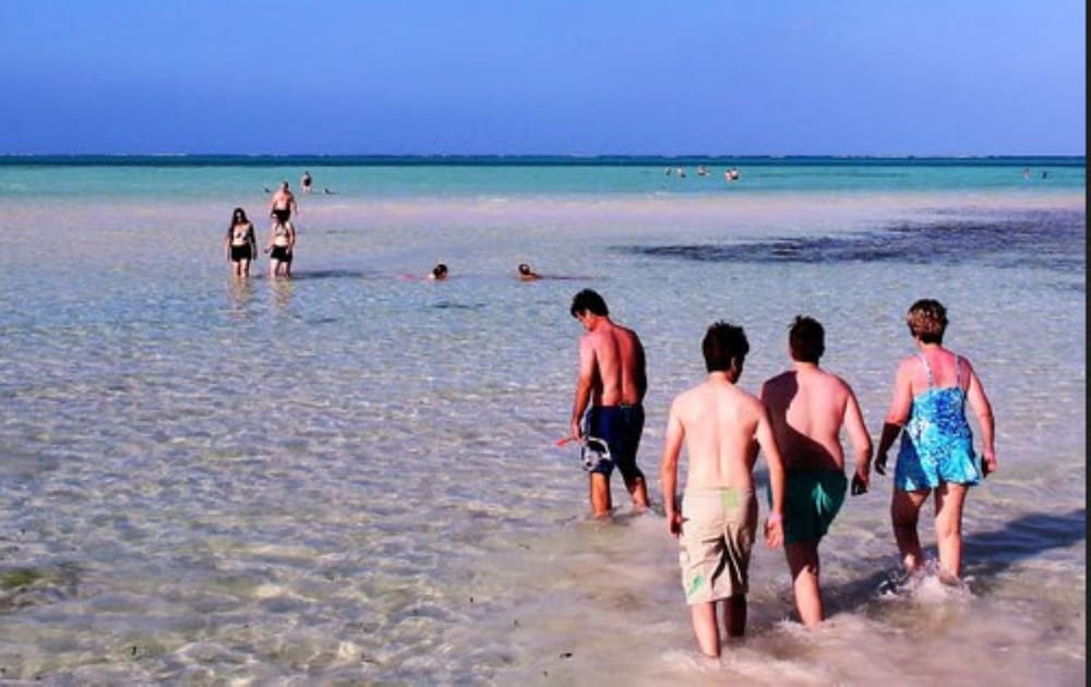 Reef & Beach Resort 45/50