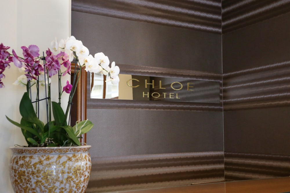 HOTEL CHLOE 4/50