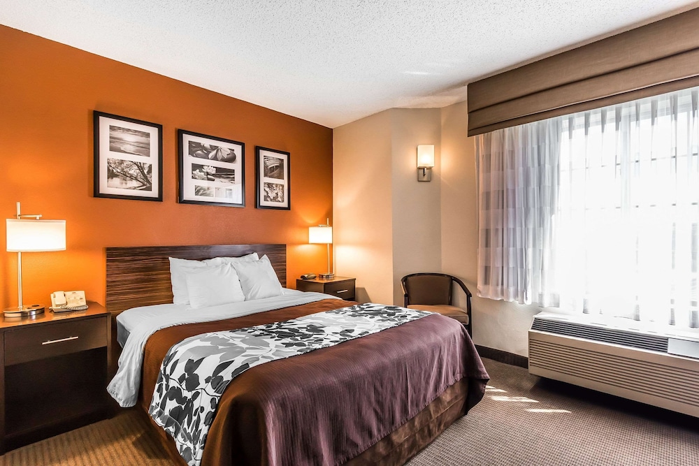 ROOM, QUEEN BED, ACCESSIBLE