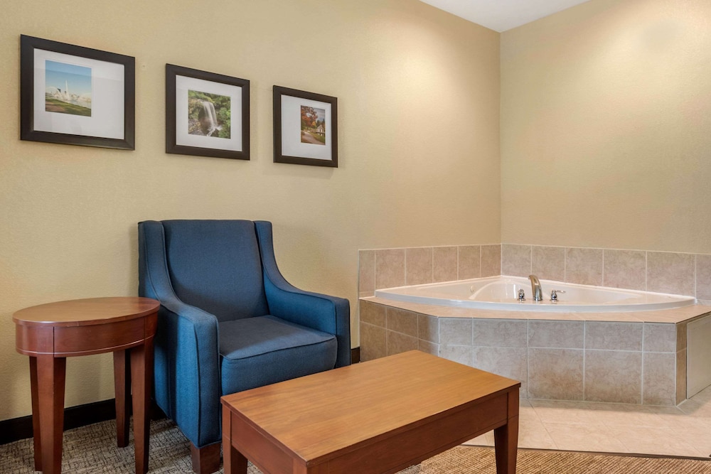 Comfort Suites Dayton-Wright Patterson 21/39