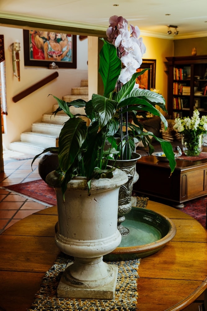 Terra Casa 33/50