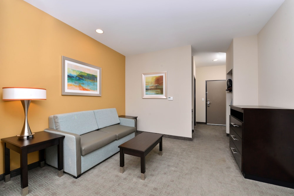 Holiday Inn Express And Suites Austin South 45/67