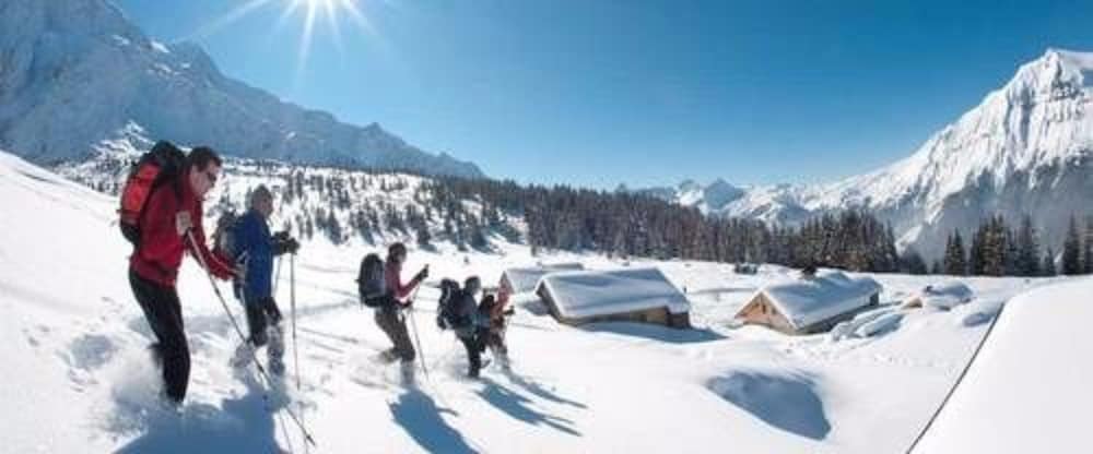 Chalet-Hotel La Chemenaz 24/50