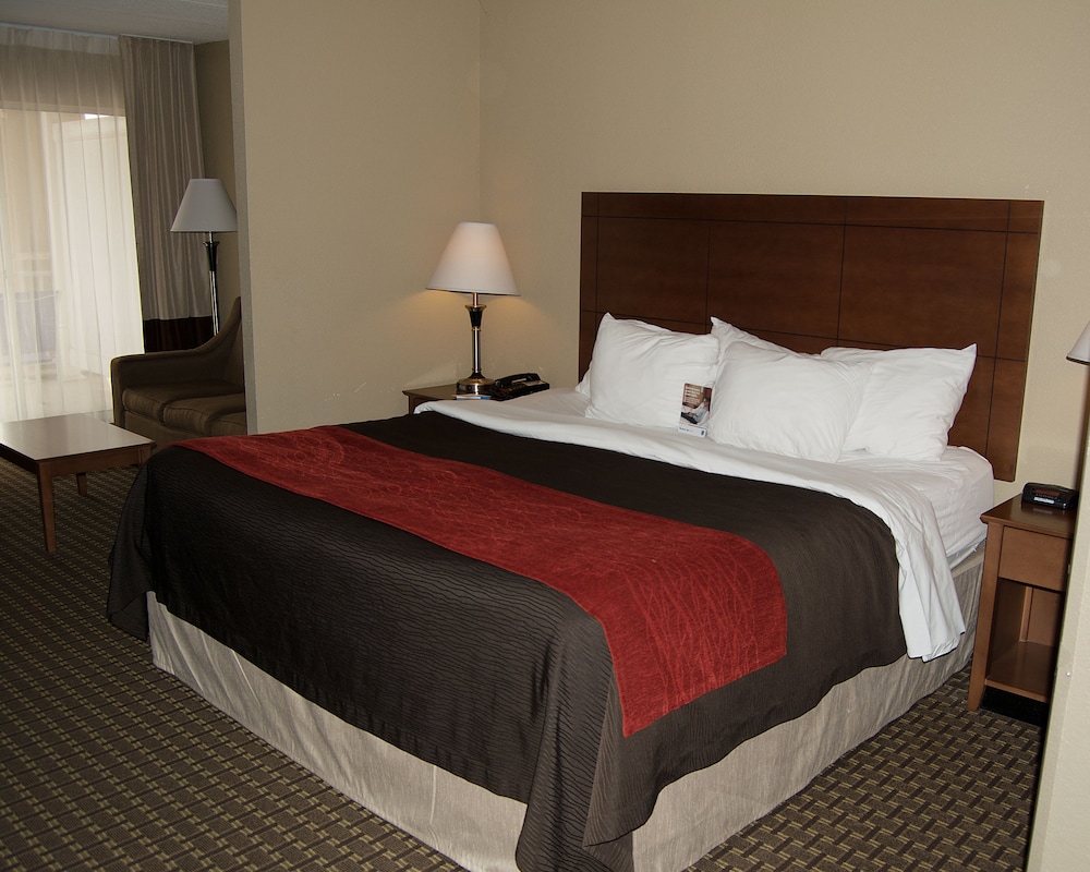 Comfort Inn & Suites Raphine VA 15/34
