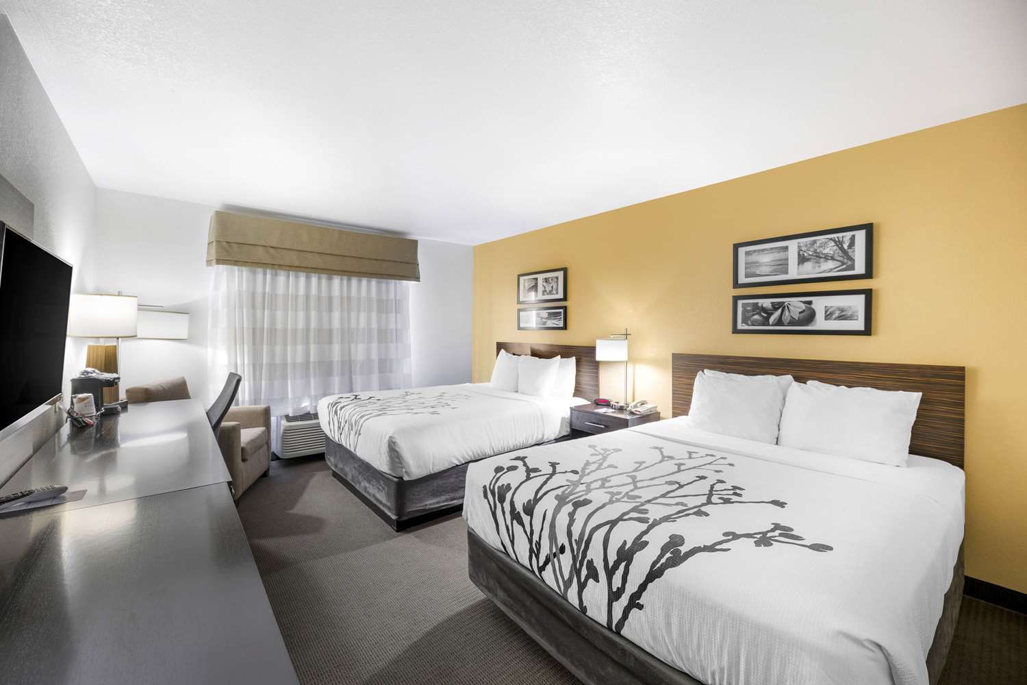 Room, 2 Queen Beds