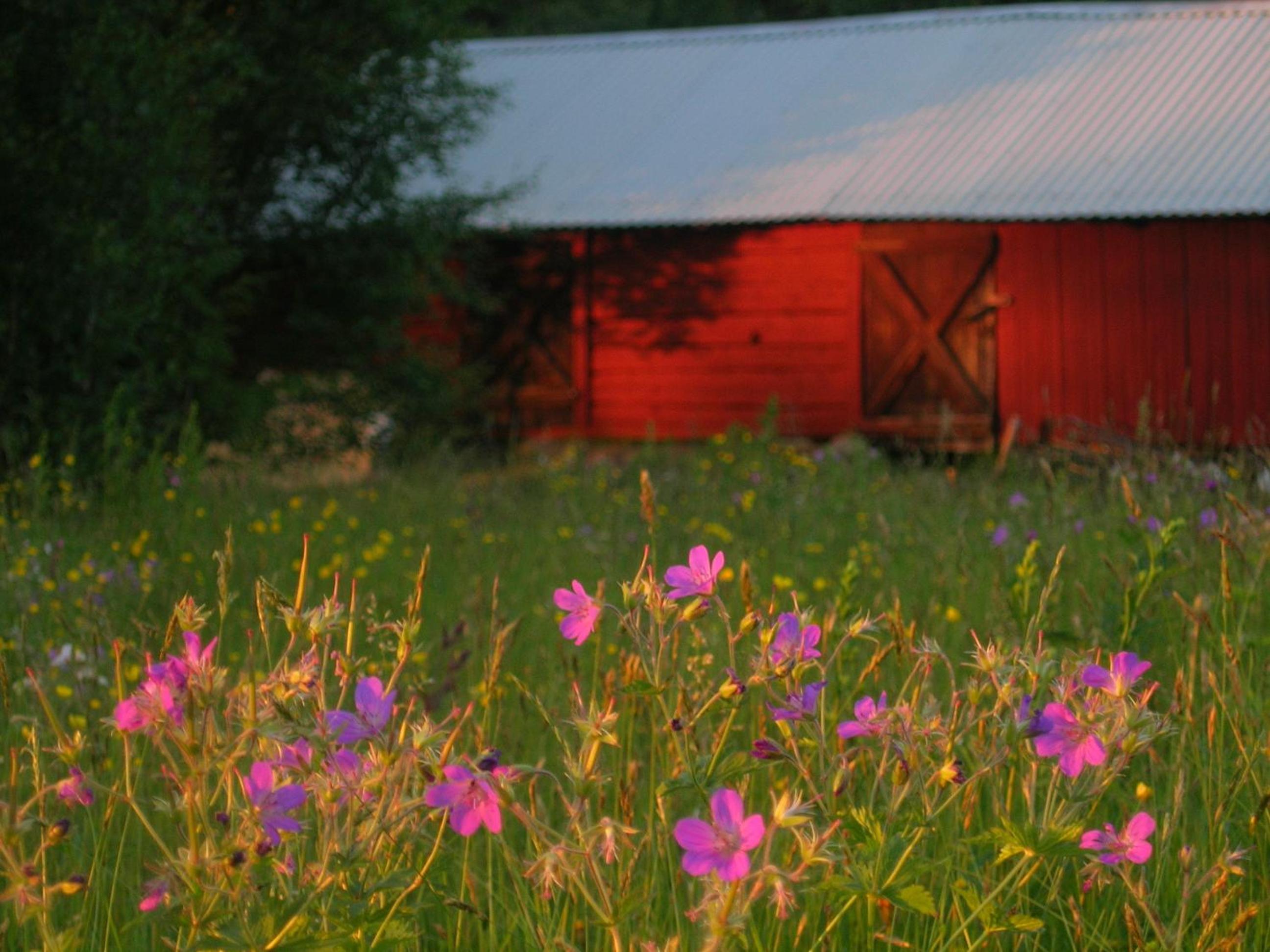 Stora Björnstugan In Laisvallby 44/50