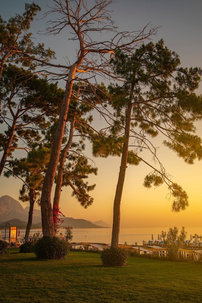 Akra Kemer 48/50