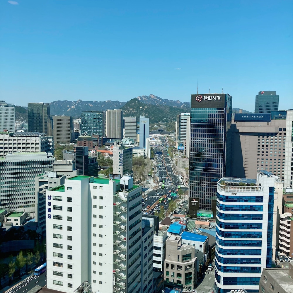 Hotel Gracery Seoul 7/77