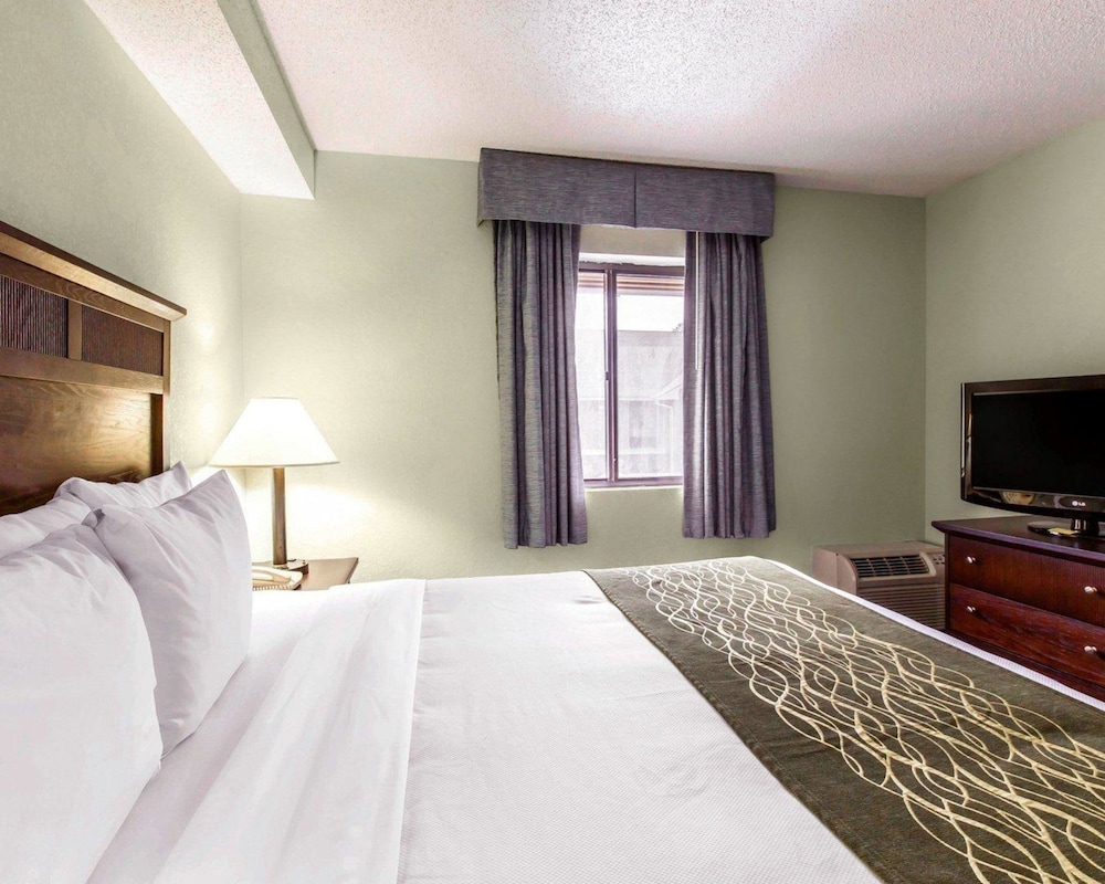 Comfort Inn And Suites Robins Afb 13/32
