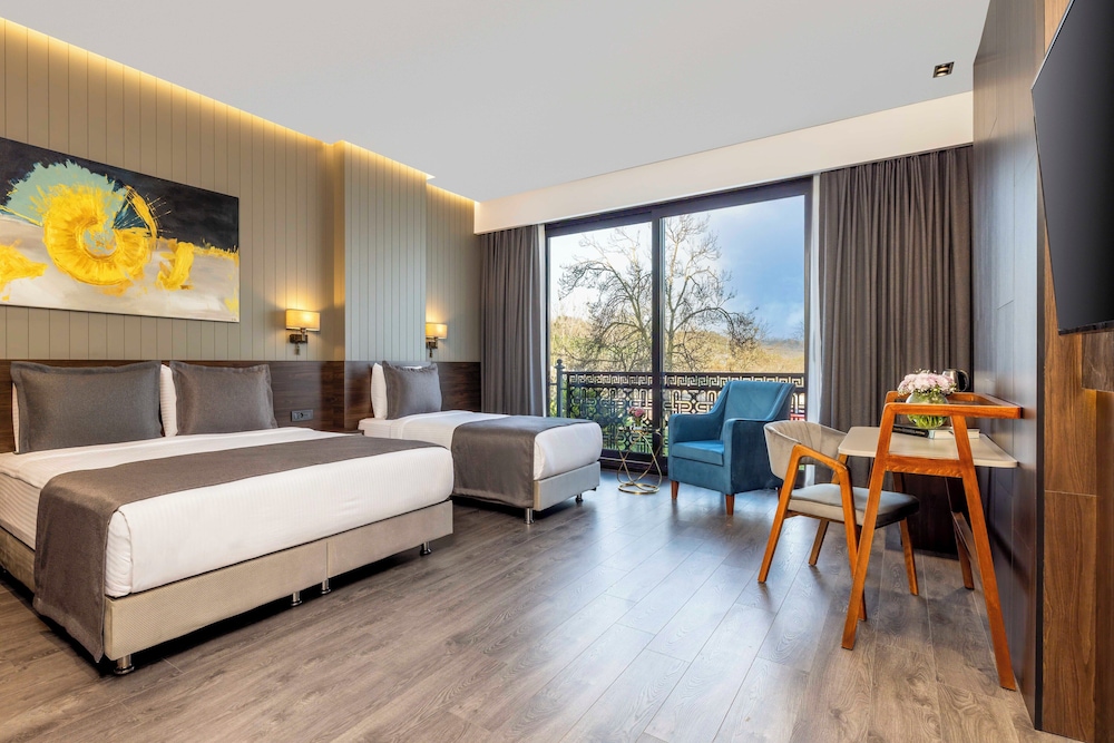 Ezkar Bathonea Art Istanbul Hotel 15/60