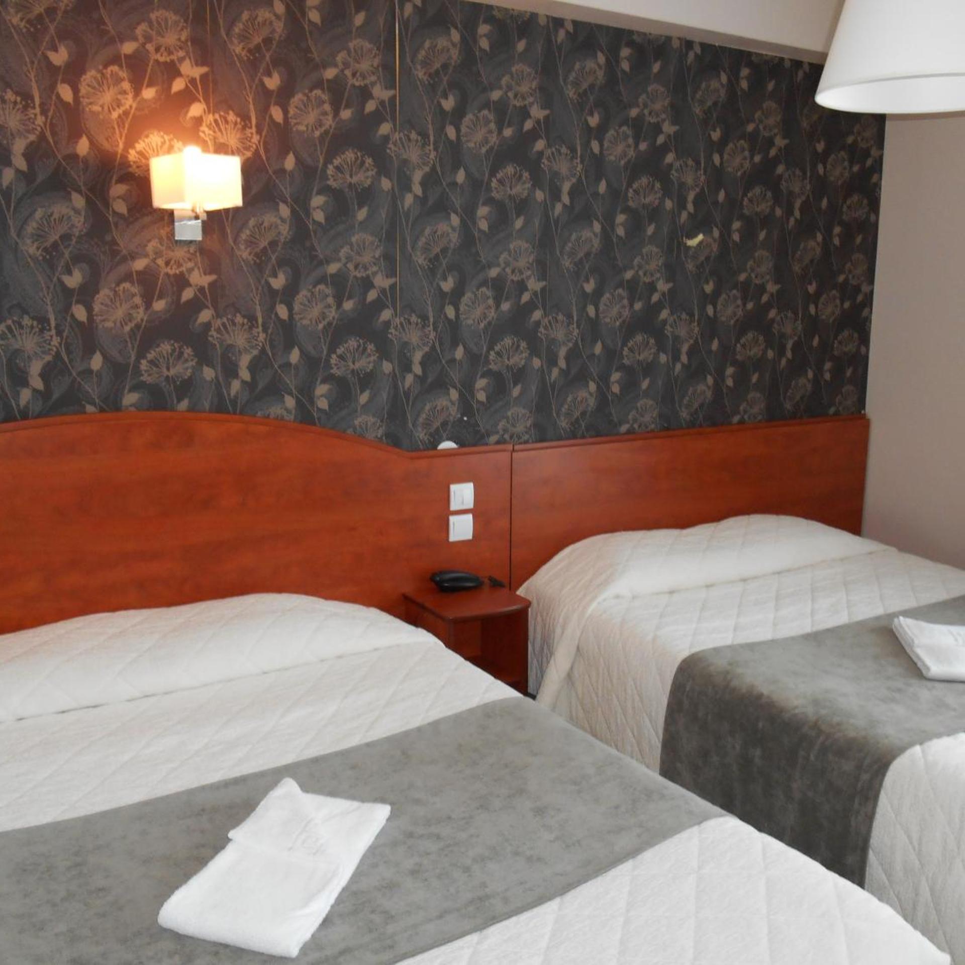 Hôtel Le Rupella 22/50