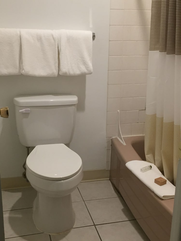 Cougar Land Motel 63/64