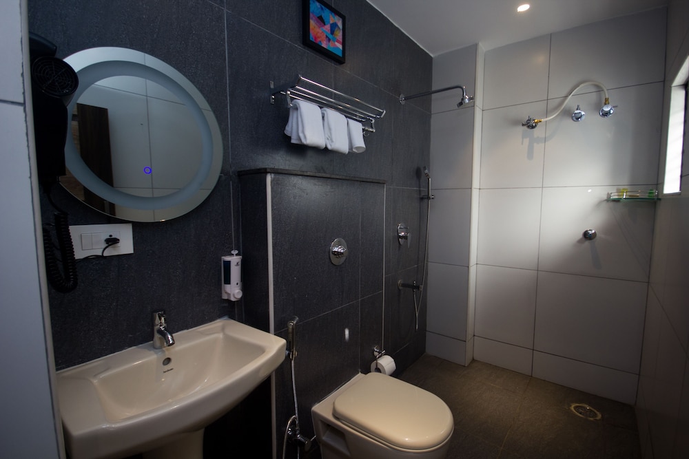 Vihaari 24 Business Hotel 15/57
