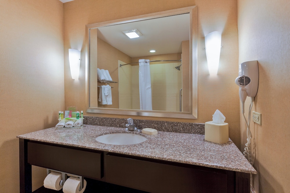 Standard, King Bed, Holiday Inn Express Hotel And Suites Alpine Southeast 8/8