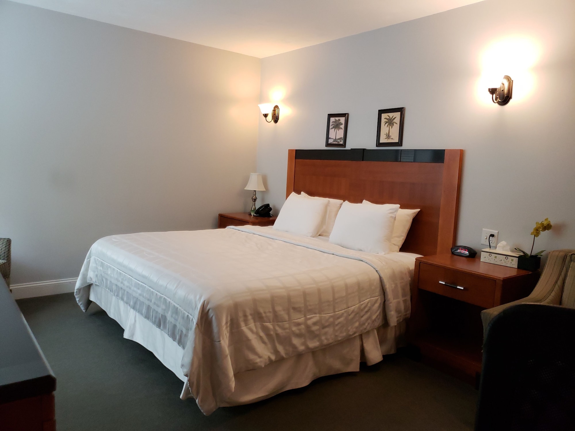 Superior, King Bed, Kitchen
