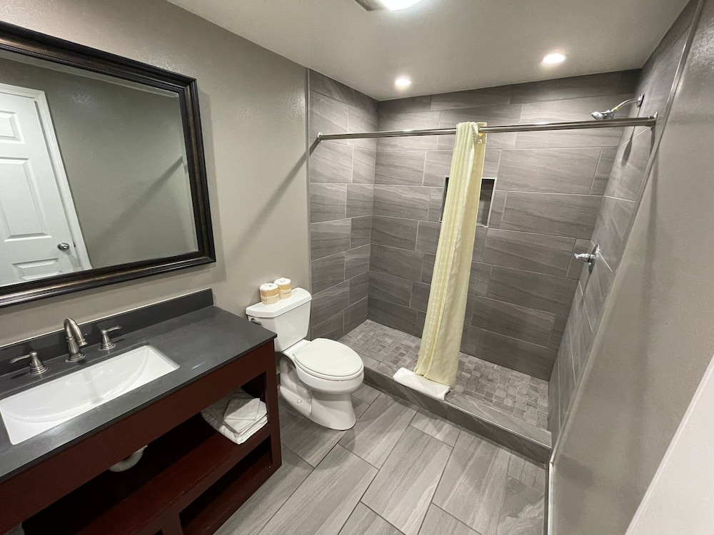 Executive, Suite, 2 King Beds