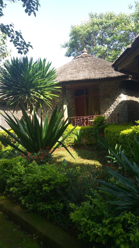 Abay Minch Lodge 40/50