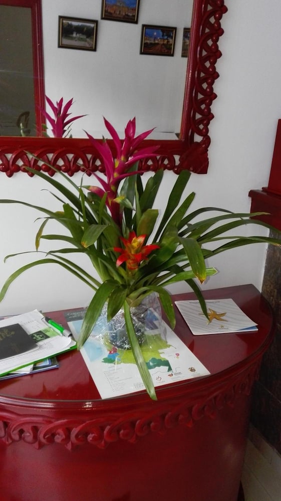 Hotel Popayan Plaza 13/42