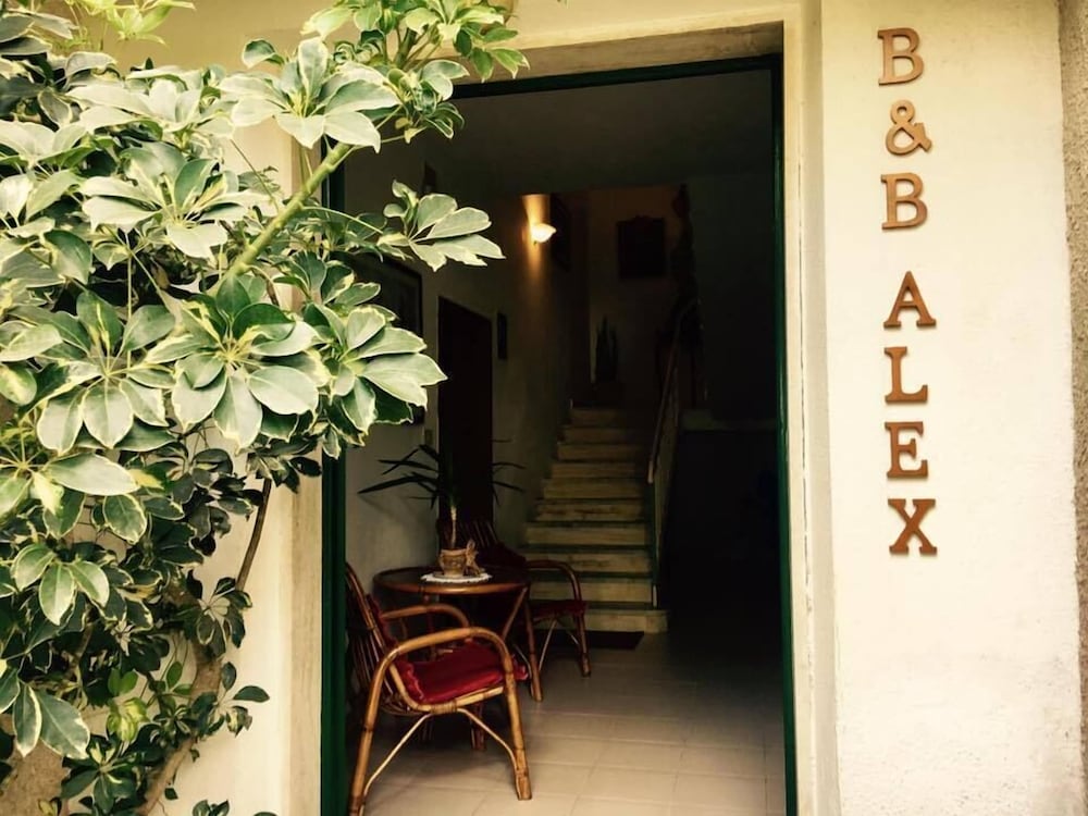 B&B Alex 10/19