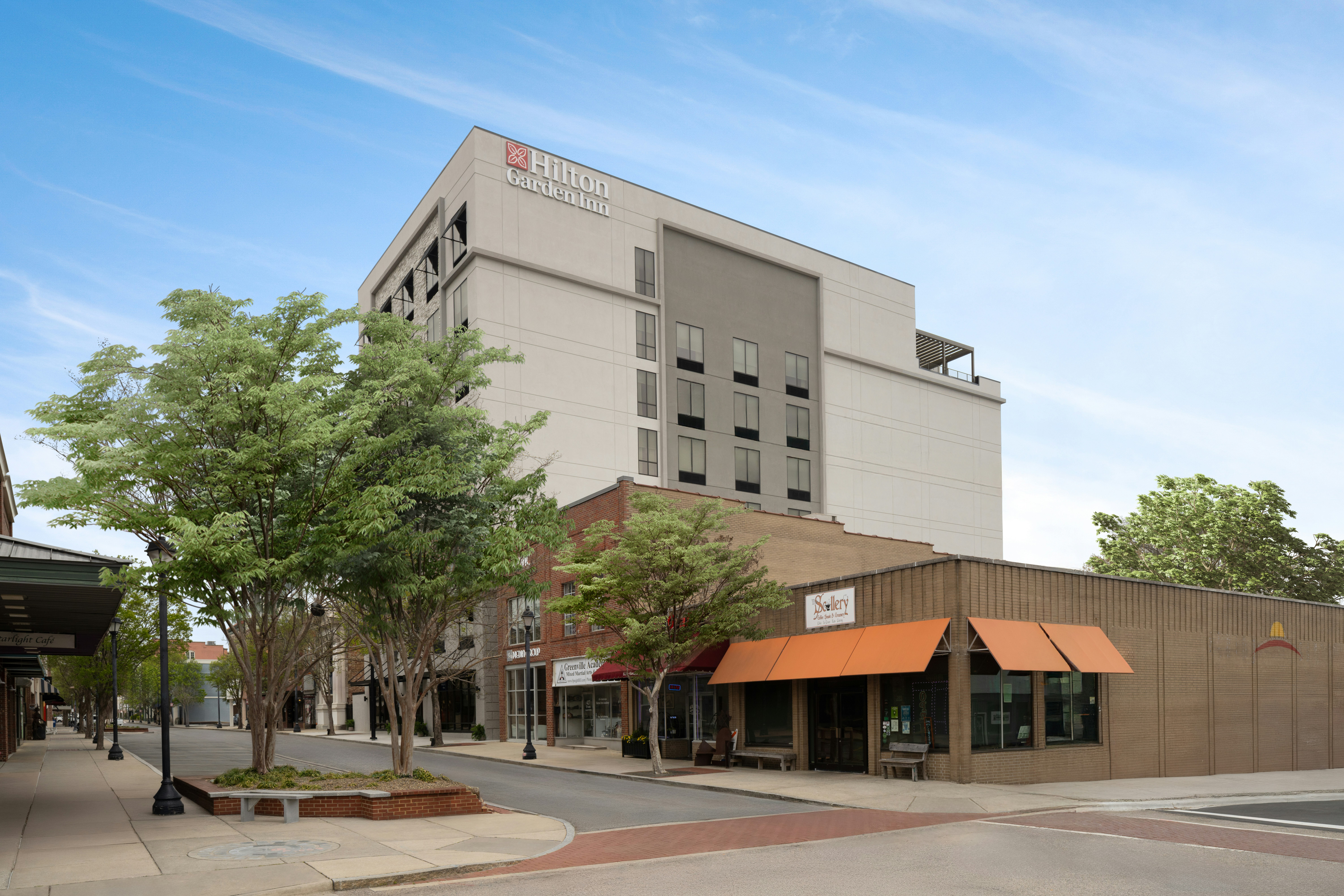 Hilton Garden Inn Greenville University Area 56/58